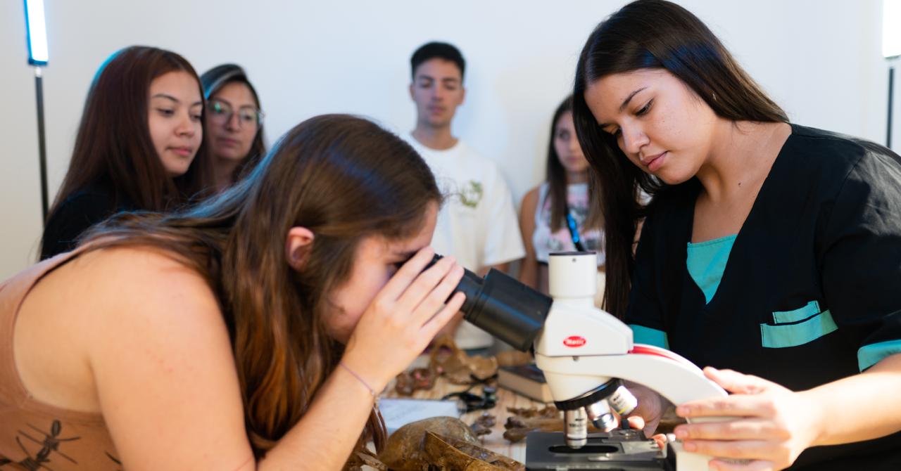 Home whatsapp image 2026 01 20 at 22.27.08