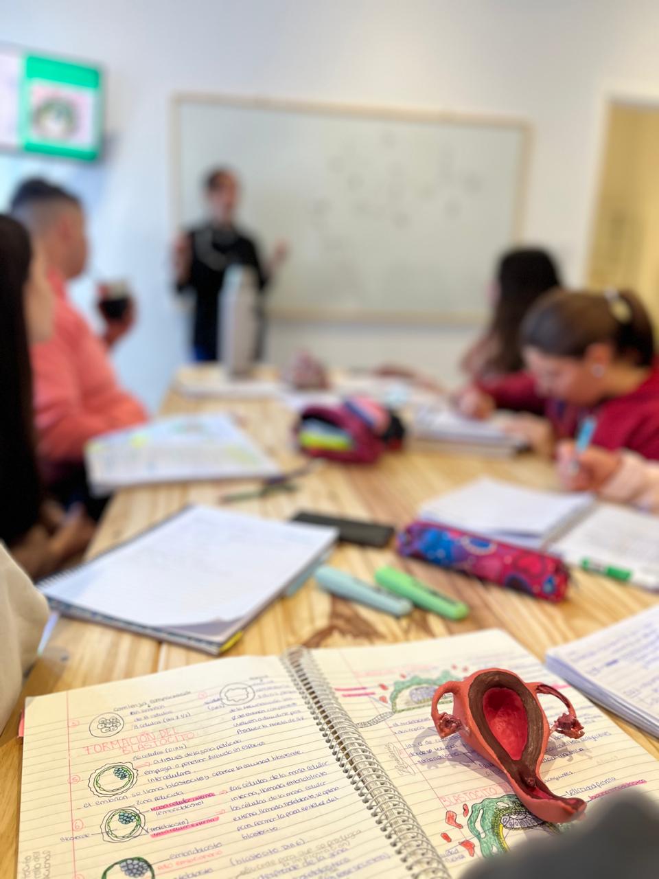 whatsapp image 2026 01 21 at 00.21.24 (1)